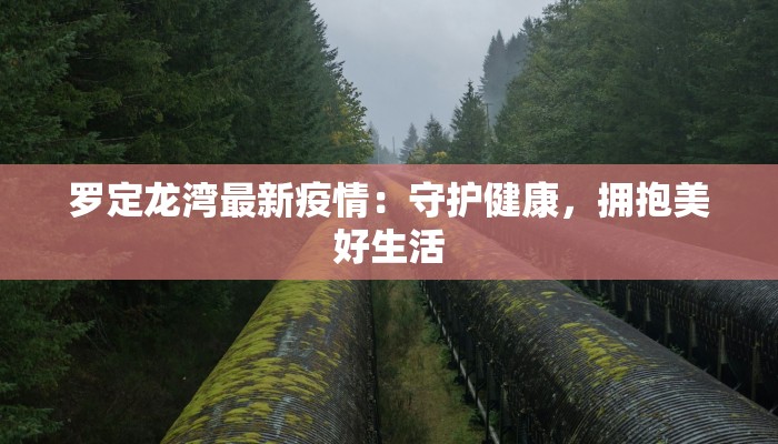 罗定龙湾最新疫情：守护健康，拥抱美好生活