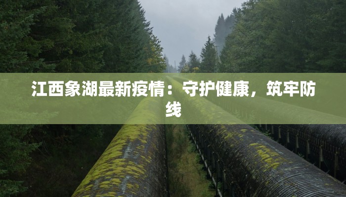 江西象湖最新疫情:守护健康,筑牢防线 江西象湖最新疫情:守护健康,筑牢防线