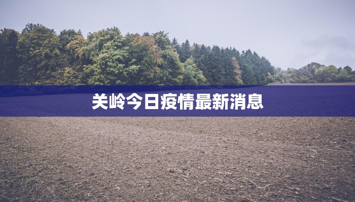 六安疫情最新出行指南:安全出行,安心探索 六安疫情最新出行指南:安全出行,安心探索