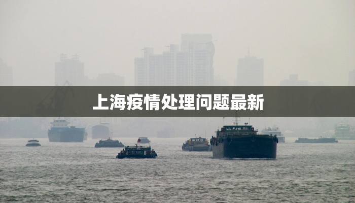 上海疫情处理问题最新