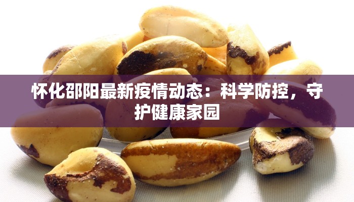 怀化邵阳最新疫情动态:科学防控,守护健康家园 怀化邵阳最新疫情动态:科学防控,守护健康家园