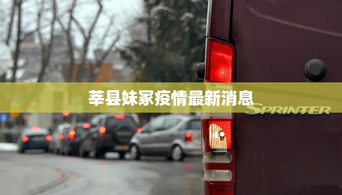 莘县妹冢疫情最新消息