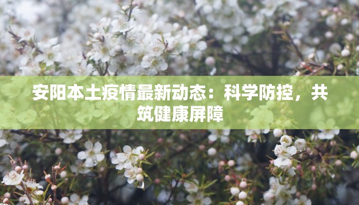 安阳本土疫情最新动态：科学防控，共筑健康屏障