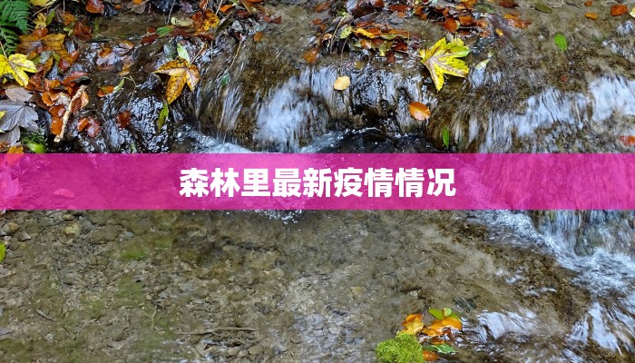 森林里最新疫情情况 森林里最新疫情情况