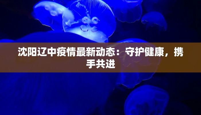 沈阳辽中疫情最新动态:守护健康,携手共进 沈阳辽中疫情最新动态:守护健康,携手共进
