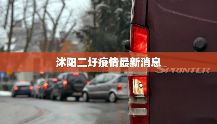 闽西最新疫情通报：守护健康，共克时艰