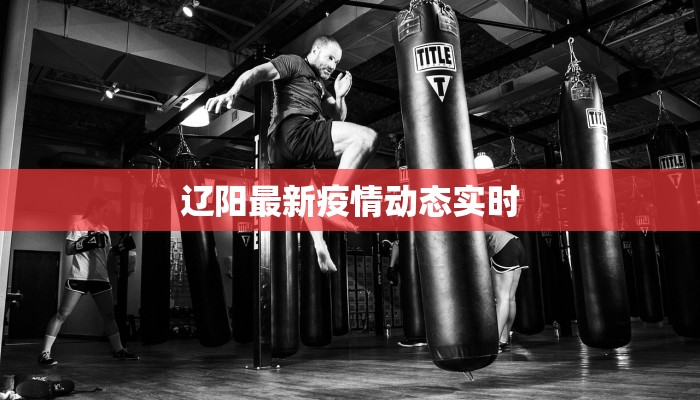 辽阳最新疫情动态实时