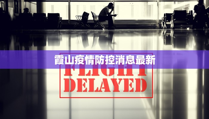 霞山疫情防控消息最新