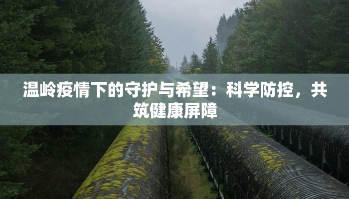 今天最新吉林疫情：科学防控，守护健康未来