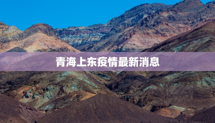 青海上东疫情最新消息