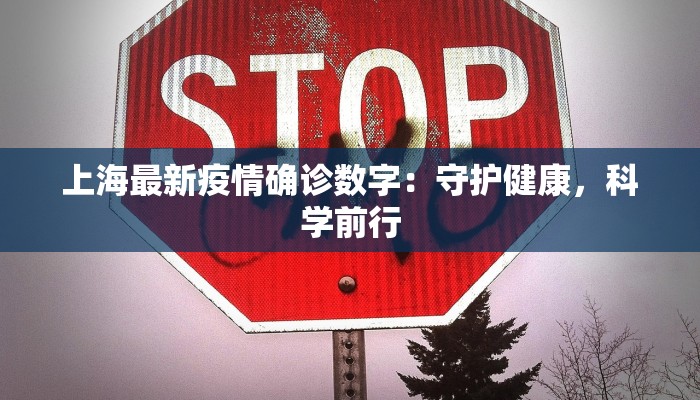 宝山疫情明细表最新