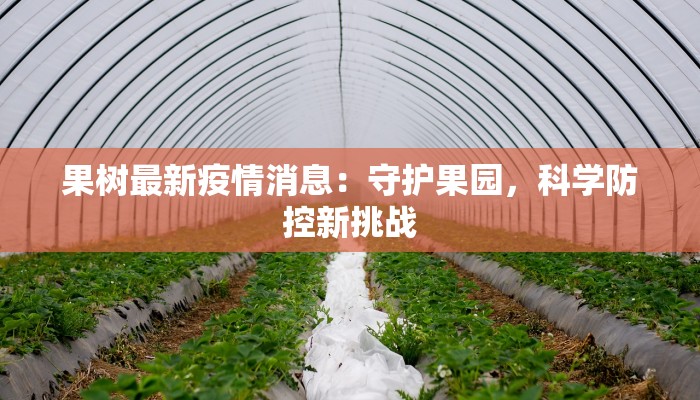 果树最新疫情消息:守护果园,科学防控新挑战 果树最新疫情消息:守护果园,科学防控新挑战