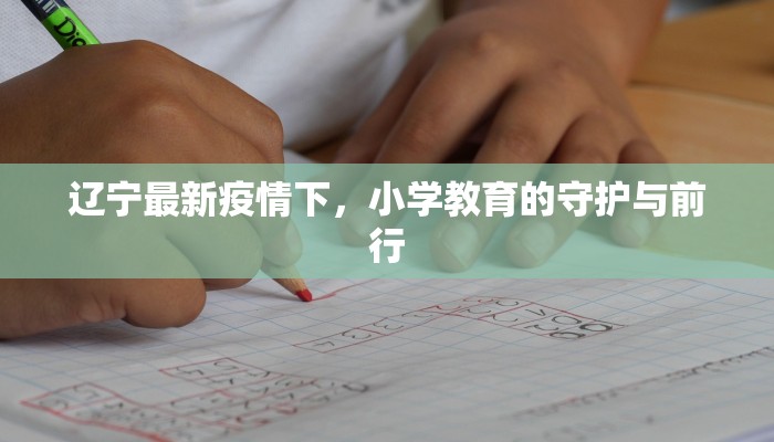 辽宁最新疫情下,小学教育的守护与前行 辽宁最新疫情下,小学教育的守护与前行