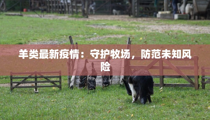 郑州楼盘最新疫情:安心置业,拥抱美好生活 郑州楼盘最新疫情:安心置业,拥抱美好生活