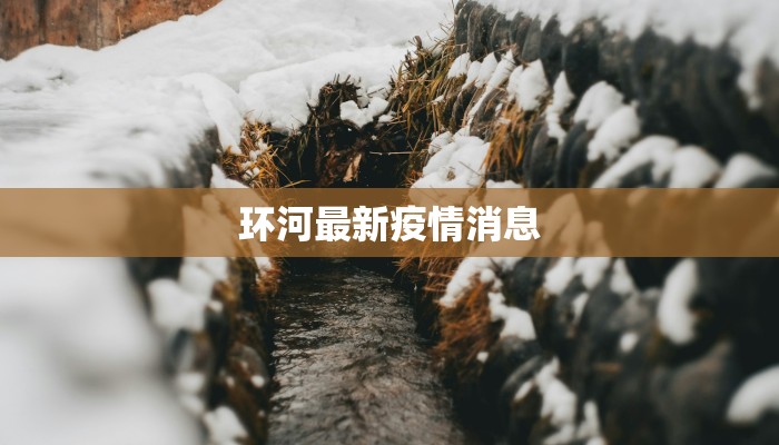 环河最新疫情消息 环河最新疫情消息