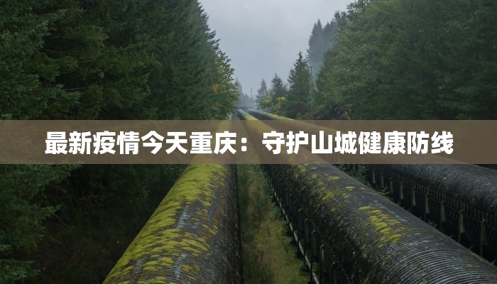 最新疫情今天重庆:守护山城健康防线 最新疫情今天重庆:守护山城健康防线