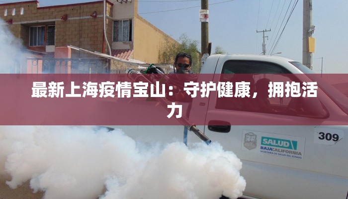 最新上海疫情宝山：守护健康，拥抱活力