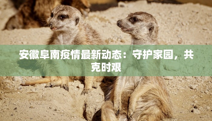 贵州的疫情消息最新:科学防控,共筑健康屏障 贵州的疫情消息最新:科学防控,共筑健康屏障