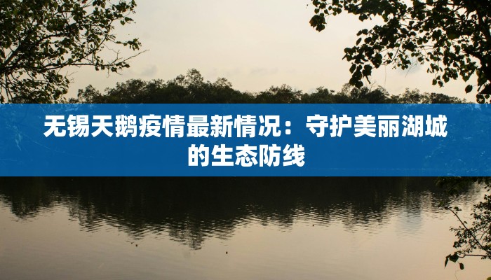 无锡天鹅疫情最新情况:守护美丽湖城的生态防线 无锡天鹅疫情最新情况:守护美丽湖城的生态防线