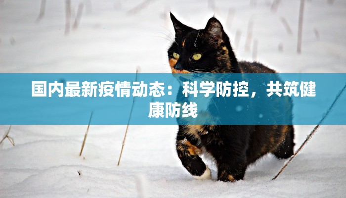 南昌疫情最新莲塘：守护家园，科学防控，共克时艰