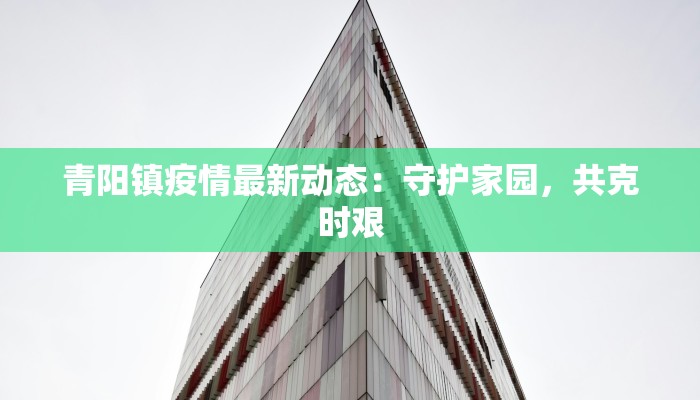青阳镇疫情最新动态：守护家园，共克时艰