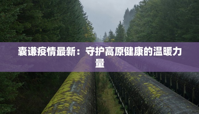 囊谦疫情最新：守护高原健康的温暖力量