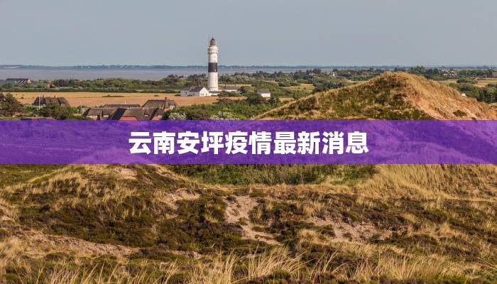 云南安坪疫情最新消息