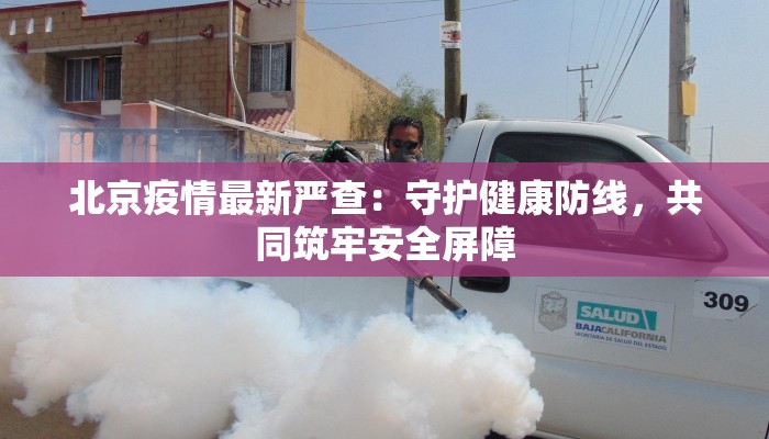 北京疫情最新严查：守护健康防线，共同筑牢安全屏障