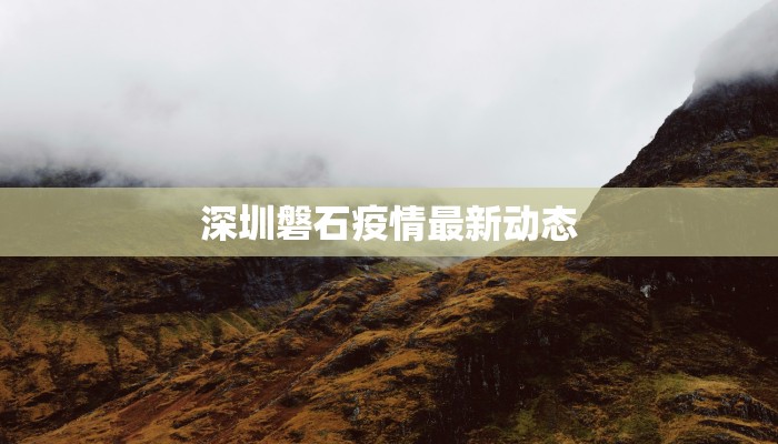 深圳磐石疫情最新动态