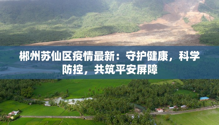 郴州苏仙区疫情最新：守护健康，科学防控，共筑平安屏障