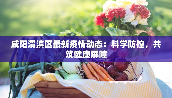 咸阳渭滨区最新疫情动态：科学防控，共筑健康屏障