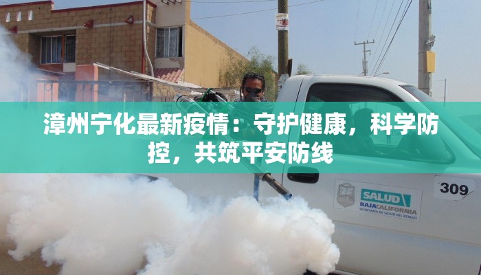漳州宁化最新疫情:守护健康,科学防控,共筑平安防线 漳州宁化最新疫情:守护健康,科学防控,共筑平安防线