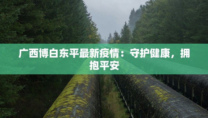 广西博白东平最新疫情:守护健康,拥抱平安 广西博白东平最新疫情:守护健康,拥抱平安