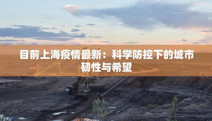 目前上海疫情最新：科学防控下的城市韧性与希望