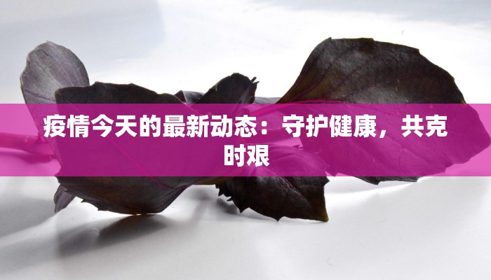 疫情今天的最新动态：守护健康，共克时艰