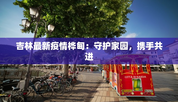 吉林最新疫情桦甸：守护家园，携手共进