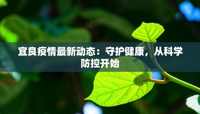 宜良疫情最新动态:守护健康,从科学防控开始 宜良疫情最新动态:守护健康,从科学防控开始