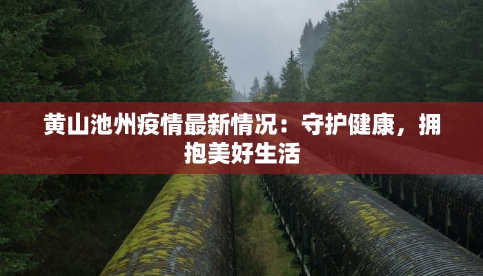 黄山池州疫情最新情况:守护健康,拥抱美好生活 黄山池州疫情最新情况:守护健康,拥抱美好生活