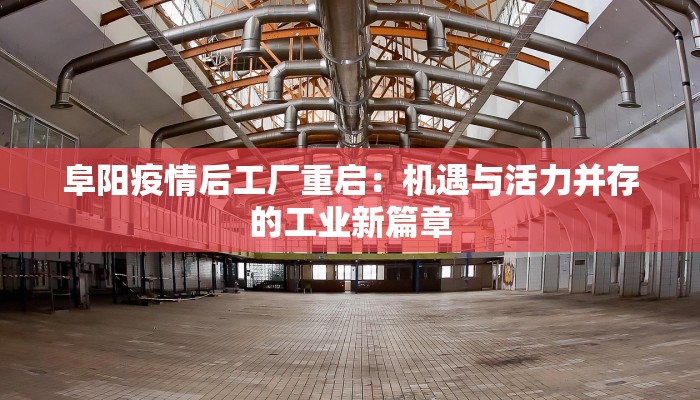 阜阳疫情后工厂重启:机遇与活力并存的工业新篇章 阜阳疫情后工厂重启:机遇与活力并存的工业新篇章