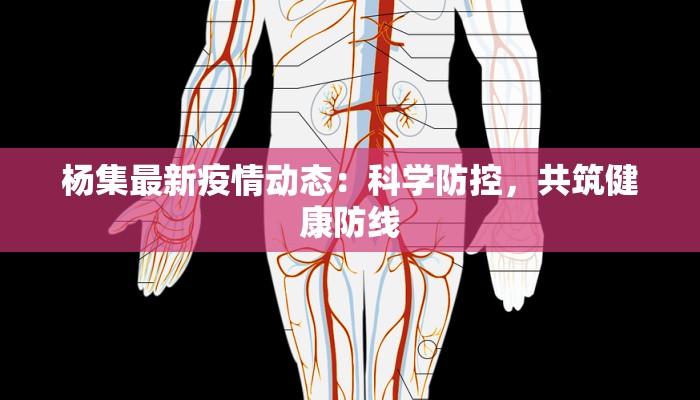 杨集最新疫情动态:科学防控,共筑健康防线 杨集最新疫情动态:科学防控,共筑健康防线