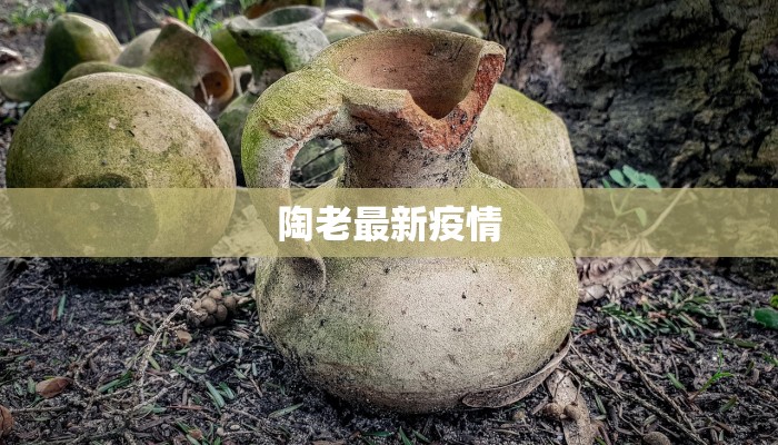陶老最新疫情