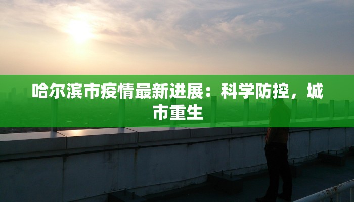 哈尔滨市疫情最新进展:科学防控,城市重生 哈尔滨市疫情最新进展:科学防控,城市重生