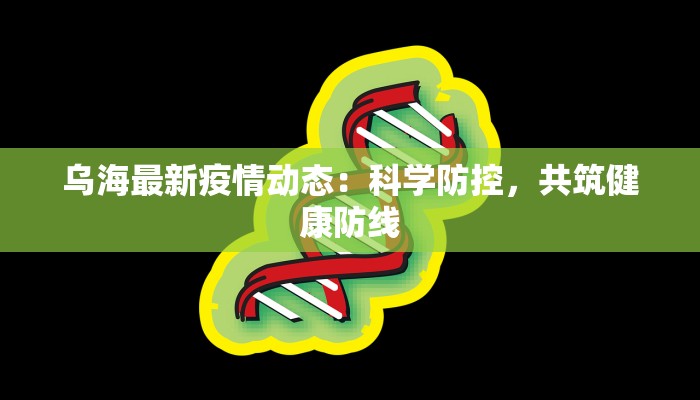 乌海最新疫情动态：科学防控，共筑健康防线