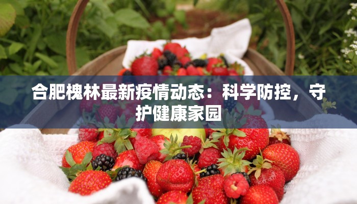 合肥槐林最新疫情动态:科学防控,守护健康家园 合肥槐林最新疫情动态:科学防控,守护健康家园