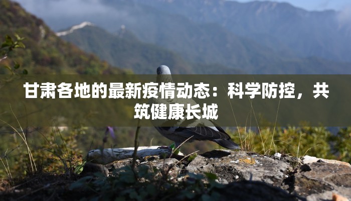 甘肃各地的最新疫情动态:科学防控,共筑健康长城 甘肃各地的最新疫情动态:科学防控,共筑健康长城