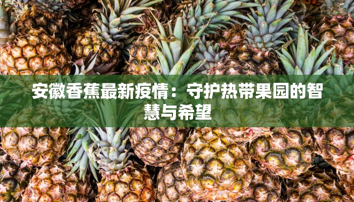 安徽香蕉最新疫情：守护热带果园的智慧与希望