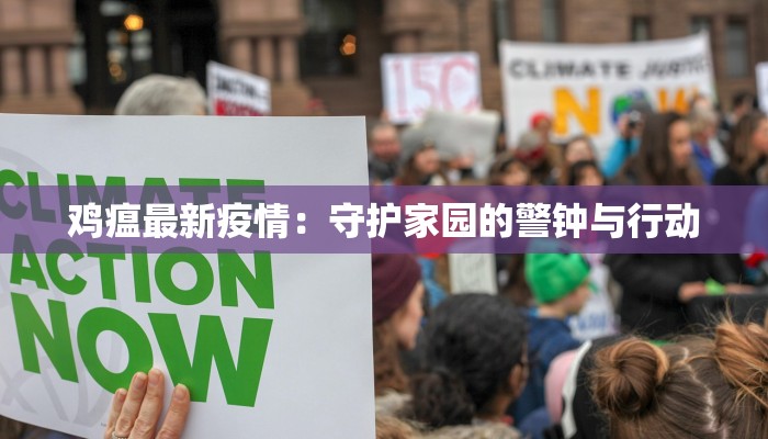 鸡瘟最新疫情:守护家园的警钟与行动 鸡瘟最新疫情:守护家园的警钟与行动