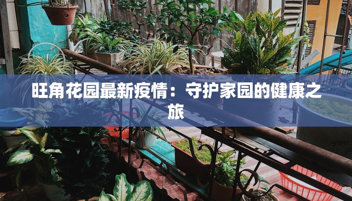 巴西智利最新疫情：从挑战中重生，健康守护新篇章