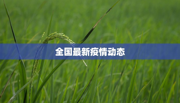 全国最新疫情动态 全国最新疫情动态