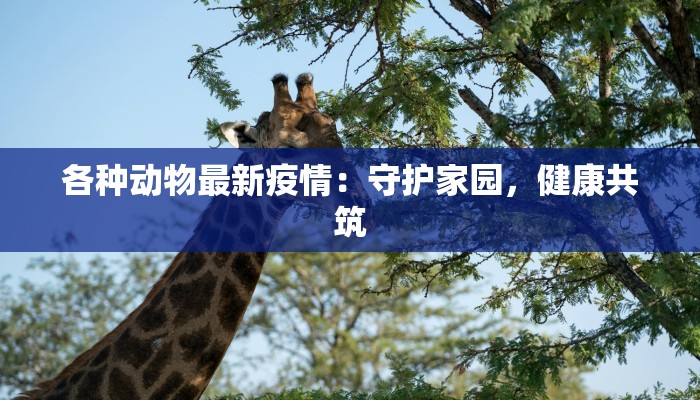 疫情最新信息腾讯：权威追踪，守护健康之旅